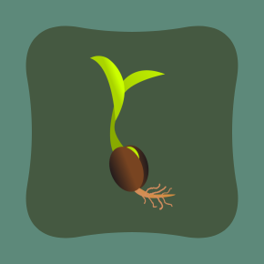 Seed Library 3